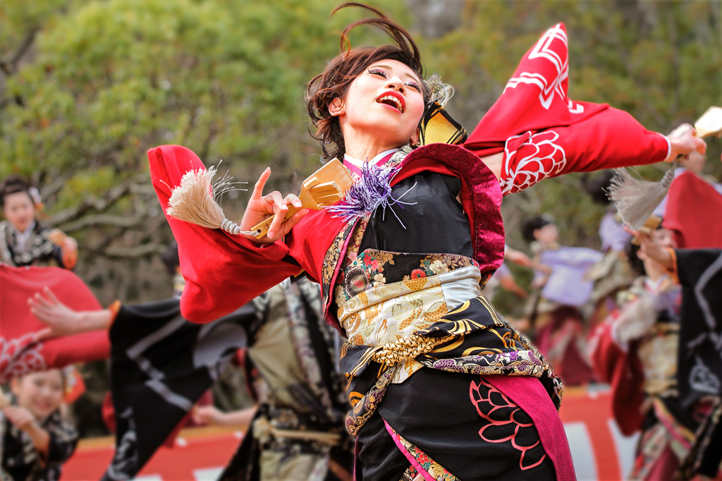 浜松よさこい がんこ祭り16 By 山崎誠 Id 写真共有サイト Photohito