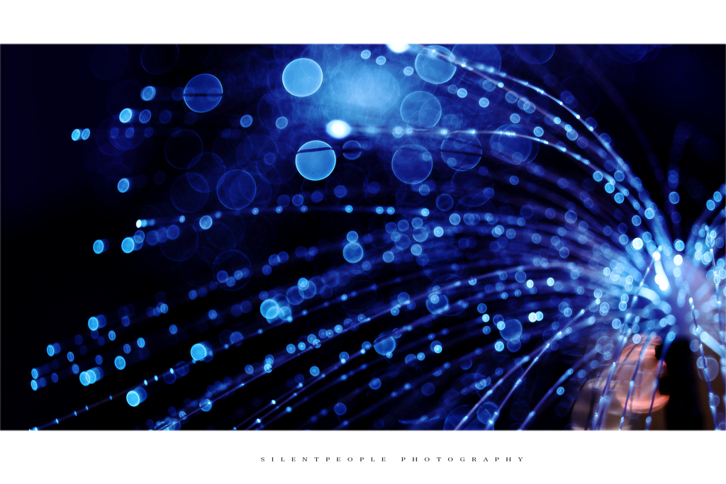BOKEH PHOTO.