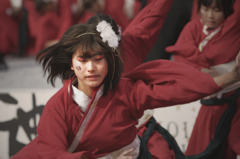 神戸よさこい祭り2015