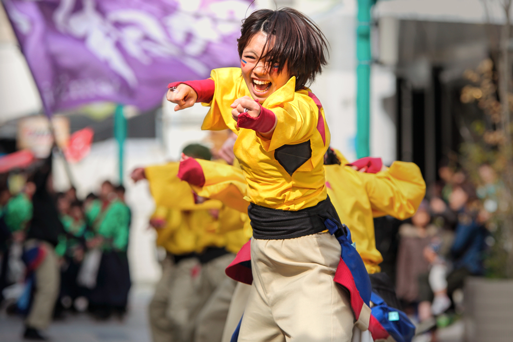 浜松よさこい「がんこ祭り2016」より