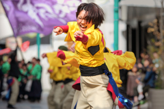 浜松よさこい「がんこ祭り2016」より