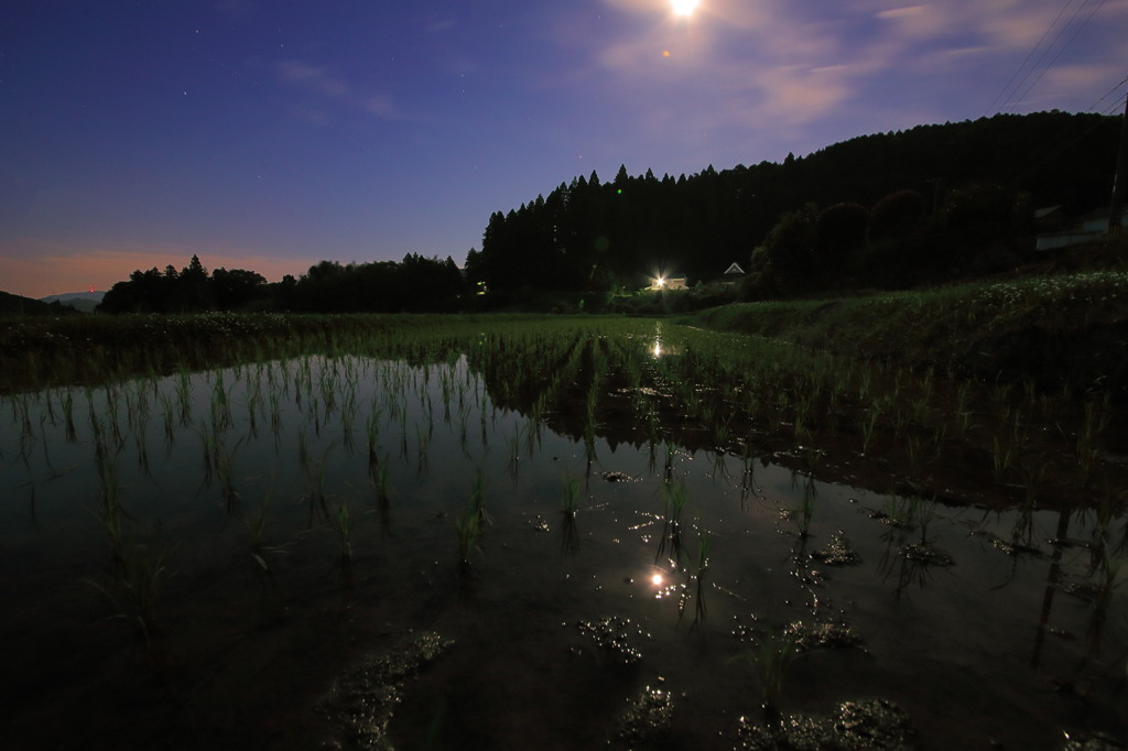 能勢町棚田の月明かり