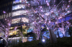 umeda Illumination