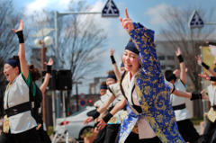 浜松よさこい「がんこ祭り」より