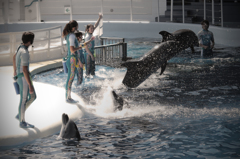 京都水族館