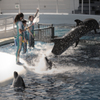 京都水族館