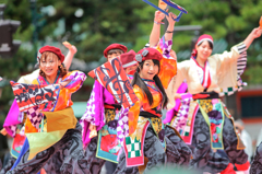 京都さくらよさこい2016より