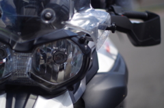 Tiger800