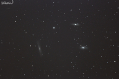 LEO TRIPLETT