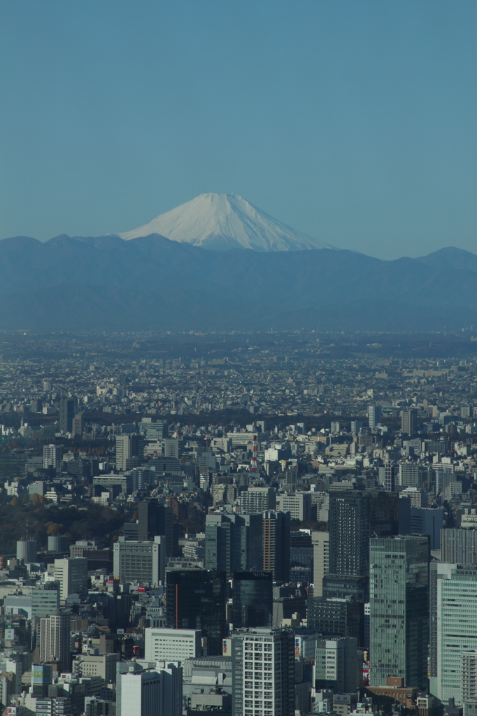 富士の山