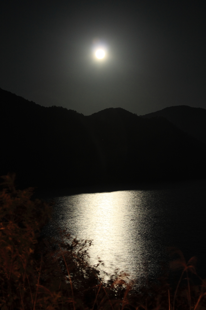 月見夜半