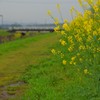 春の散歩道