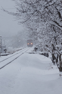 春の雪景色