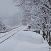 春の雪景色