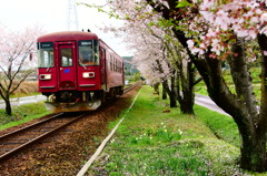 春の鉄道