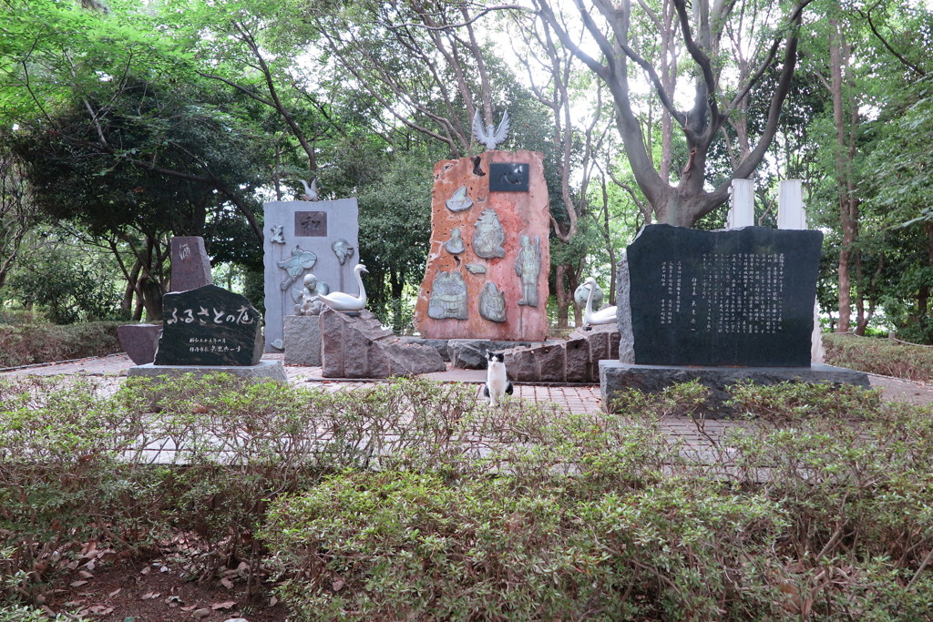 昆陽池公園の野良猫さん
