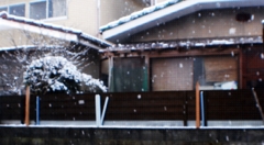 3月25日雪降る早朝-1