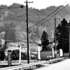 scenery(1)