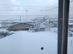 一面の雪景色_1000002660