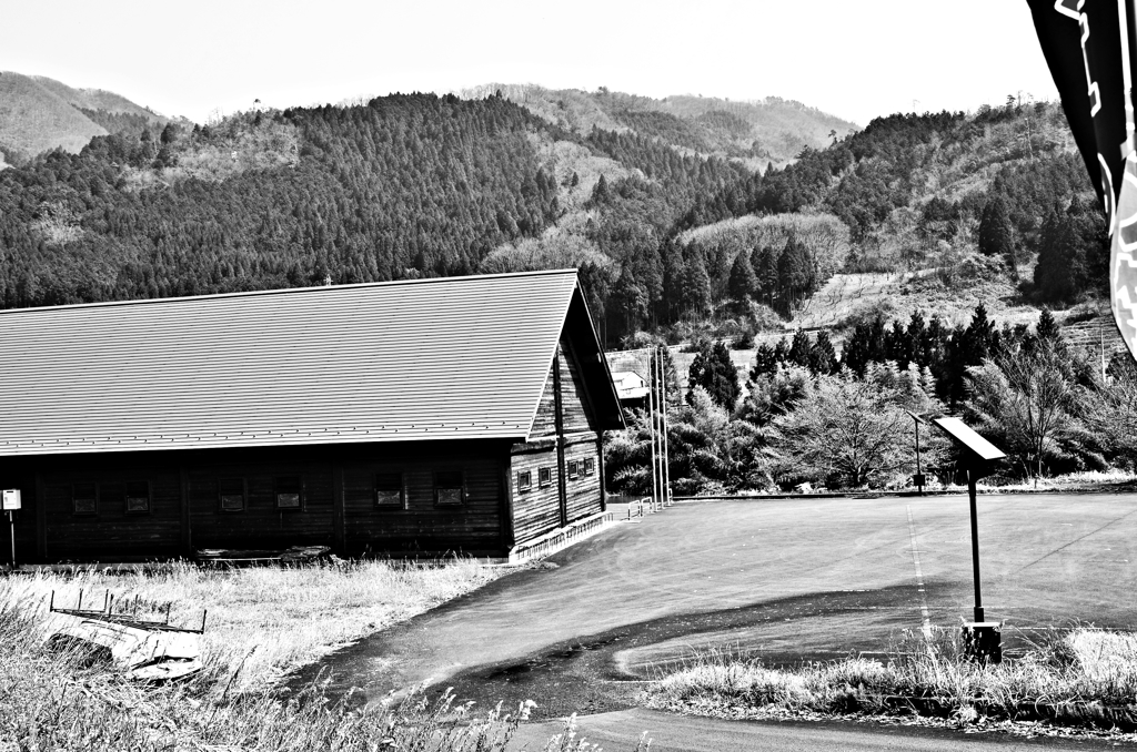 scenery(6)