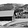 scenery(6)