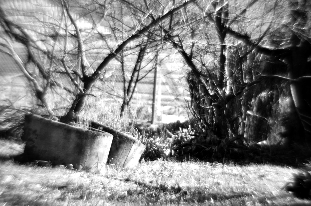 忘れ去られた遺物 (2)
