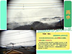2022/02/19-今日は「雨水」にて、シトシトの雨だった