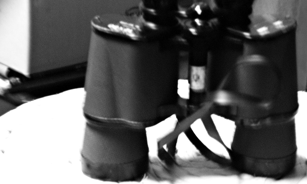DSC_0015_GS