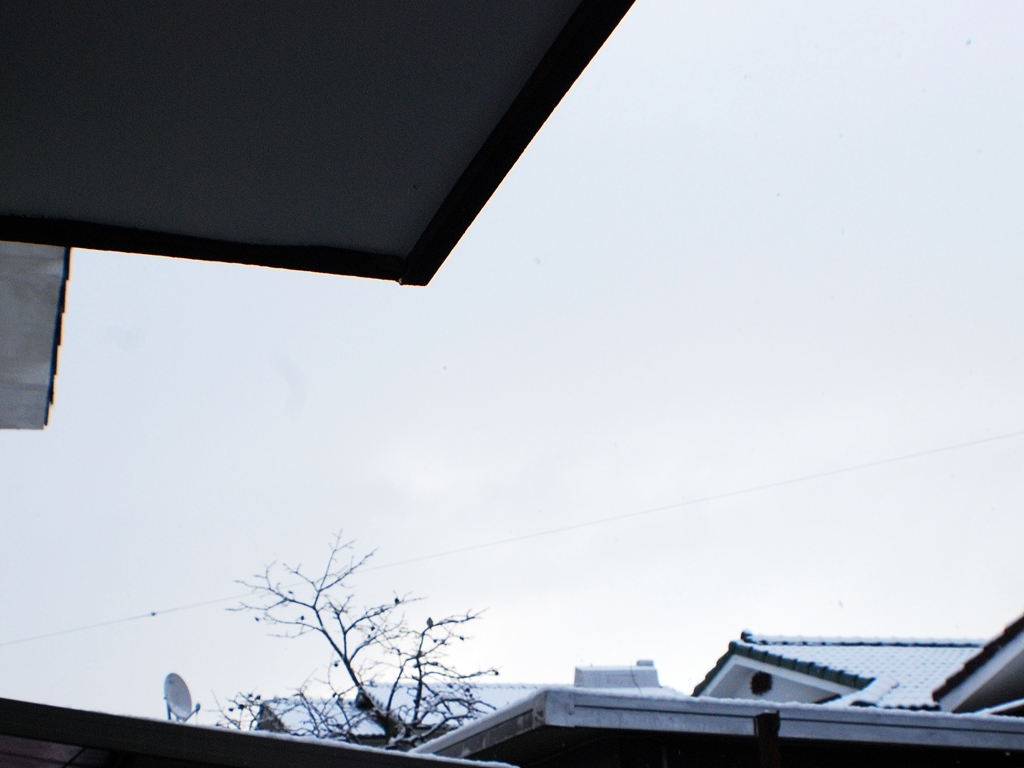 3月25日雪降る早朝
