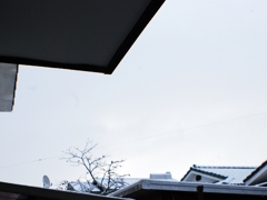 3月25日雪降る早朝