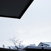 3月25日雪降る早朝