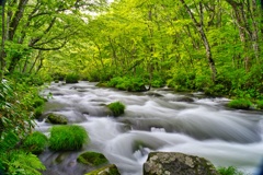 奥入瀬渓流　三乱の流れ