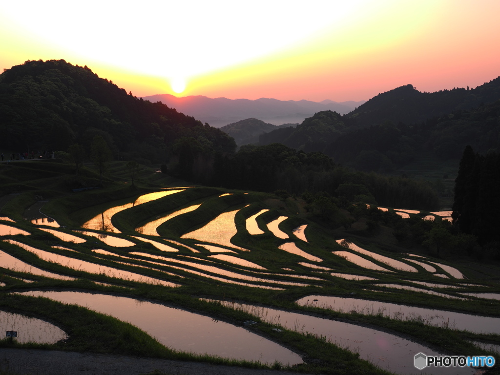 棚田の日の出