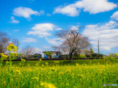 無人駅にも春が来た