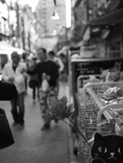 造花ですが、何か？