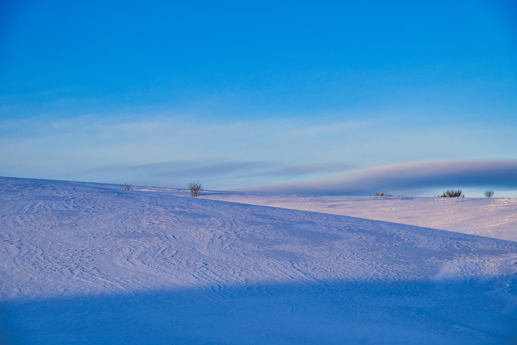 snow desert