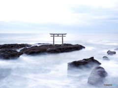 雲海の鳥居