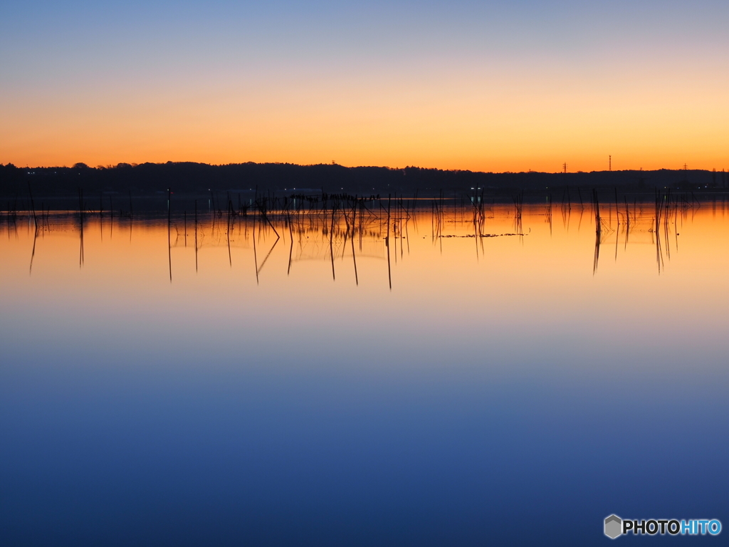 グラデーション