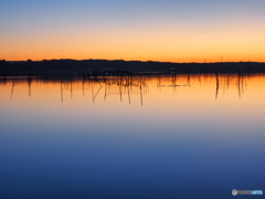 グラデーション