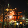 元旦の浅草寺