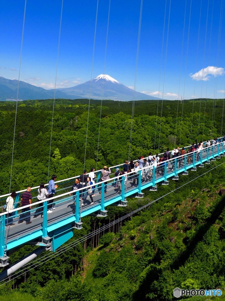 吊り橋から富士山