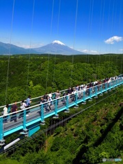 吊り橋から富士山