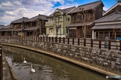 白鳥の泳ぐ町