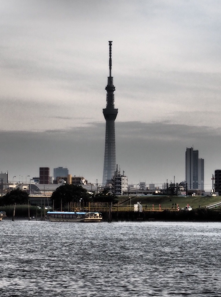 荒川からのスカイツリー