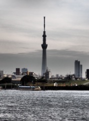 荒川からのスカイツリー