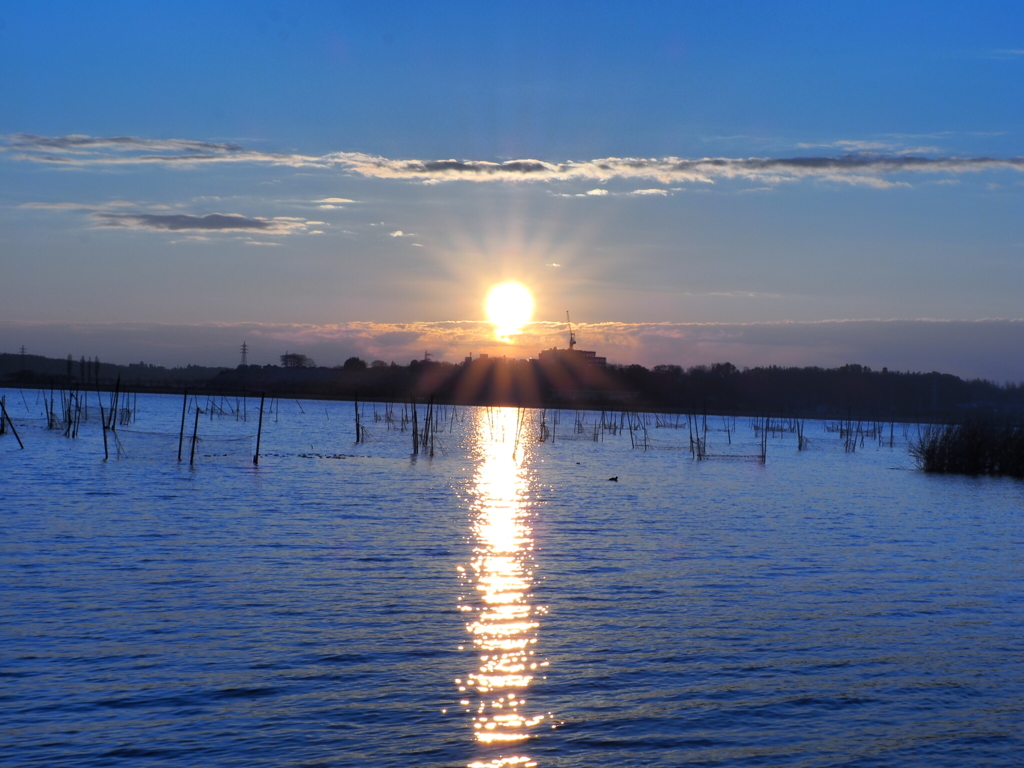 印旛沼の朝日