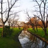 水元公園