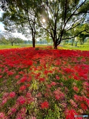 お彼岸