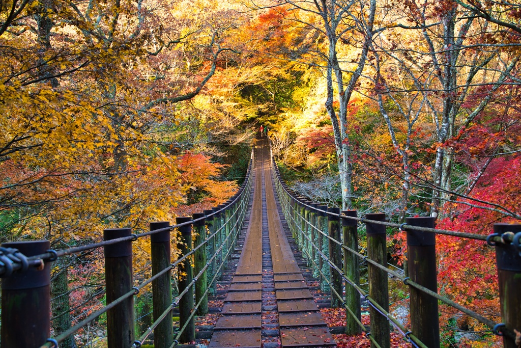汐見滝吊り橋