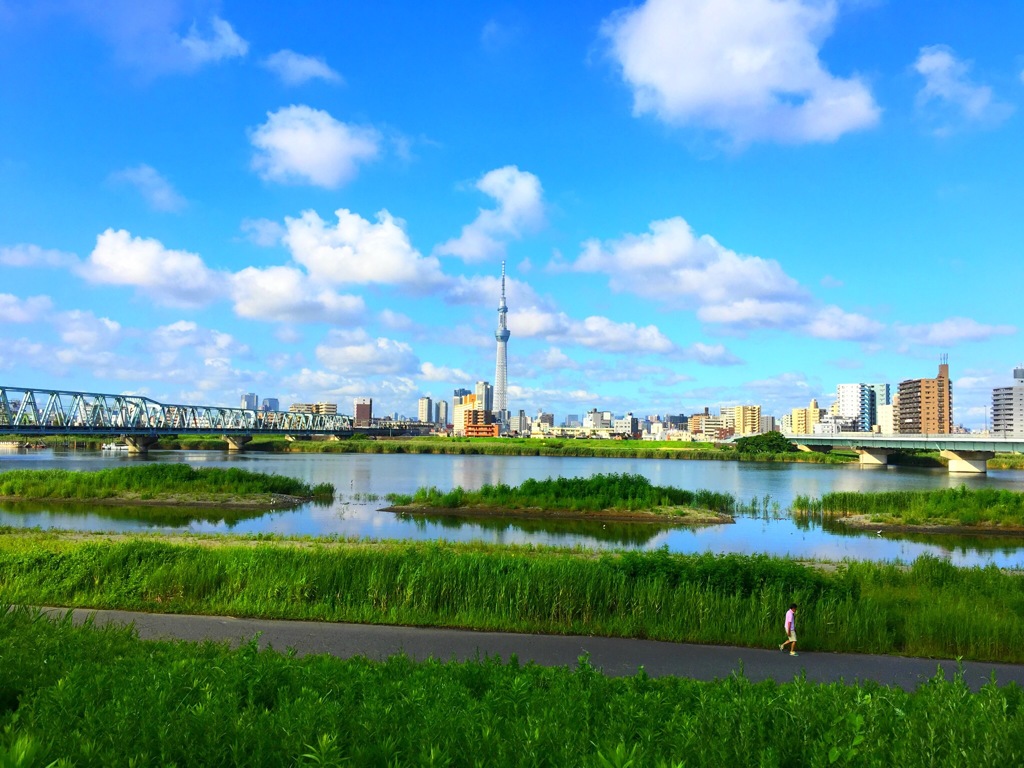 荒川とスカイツリー